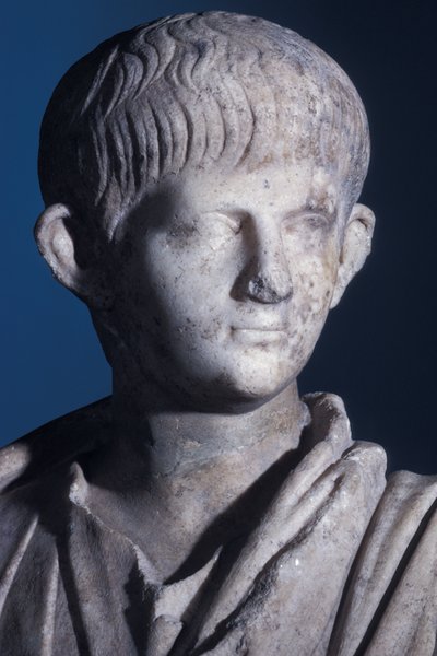 Togate Statue des jungen Nero, Vorderansicht des Kopfes, ca. 50 n. Chr. (Detail) von Roman