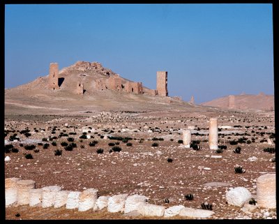 Ansicht der Turmgräber von Iamblichus und Elahbel von Roman