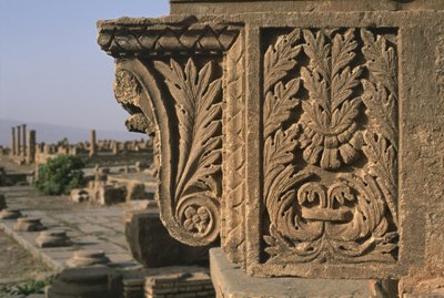 Architektonisches Fragment mit geschnitzter Dekoration, Sertius-Markt, Hochimperiale Periode (27 v. Chr. - 395 n. Chr.) von Roman Imperial Period