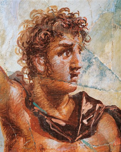 Detail eines Freskos, das Alexander darstellt, aus der Hochzeit von Alexander (Ares) und Stateira (Aphrodite), Regio 6 Insula Occidentalis 39, Pompeji (UNESCO-Welterbeliste) von Roman Roman