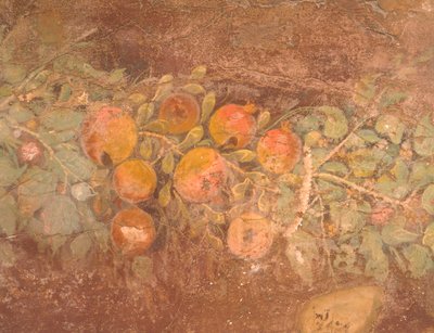 Detail eines Freskos mit Blumen- und Fruchtdekoration aus der römischen Villa von Boscoreale (Neapel), Römische Zivilisation von Roman Roman