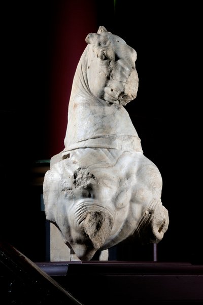 Vorderteil eines Pferdes von Roman Roman