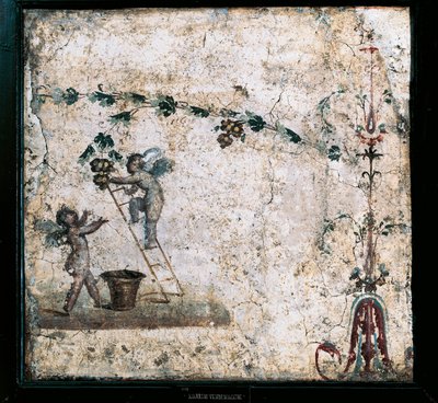 Fresko im dritten Stil, das Cupidos bei der Ernte zeigt, aus dem Haus des Marcus Lucretius in Pompeji von Roman Roman