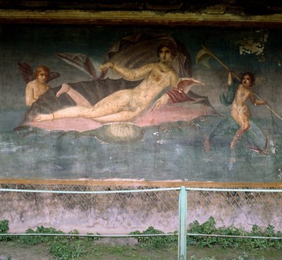 Venus ruht in der Muschel. Haus der Venus, Pompeji, Italien. Fresko. von Roman Roman