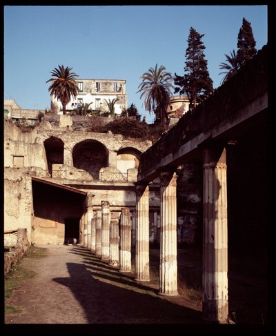 Blick auf die Palestra von Roman Roman