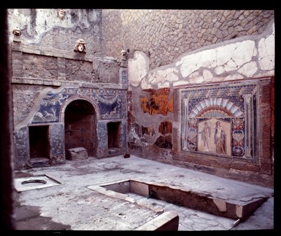 Ansicht des Trikliniums der Casa di Nettuno e Anfitrite von Roman Roman