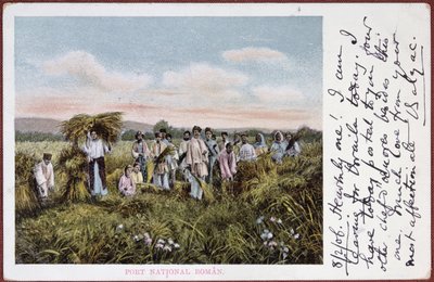 Postkarte, die rumänische Bauern bei der Ernte darstellt, 1906 von Romanian School