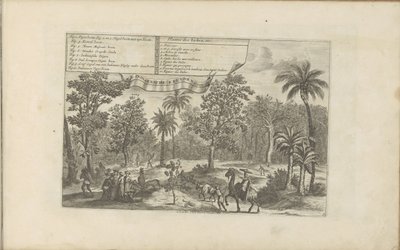 Bäume und Gewürze von Romeyn de Hooghe