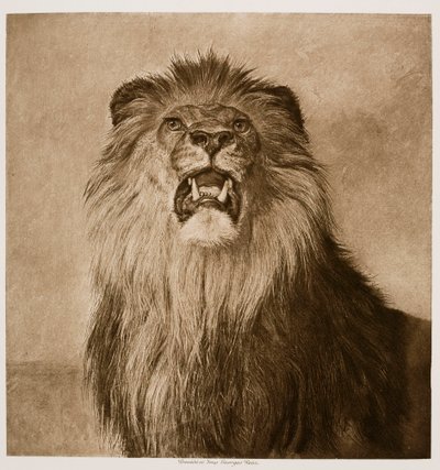 Brüllender Löwe von Rosa Bonheur