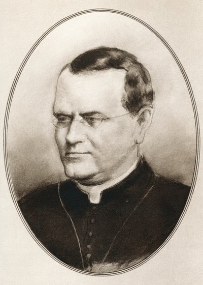 Gregor Johann Mendel, aus Living Biographies of Great Scientists von Ross Gordon