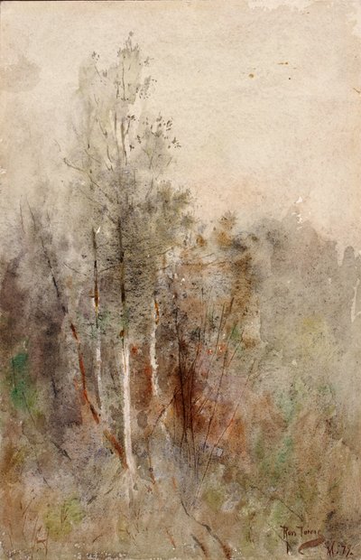 Eine Baumstudie von Ross Turner