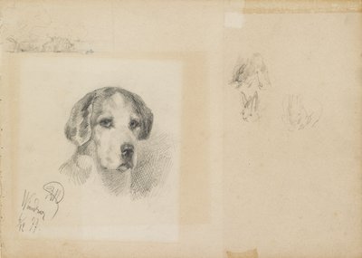 Porträt eines Hundes: Windsor, 1877 von Rudolf Wimmer
