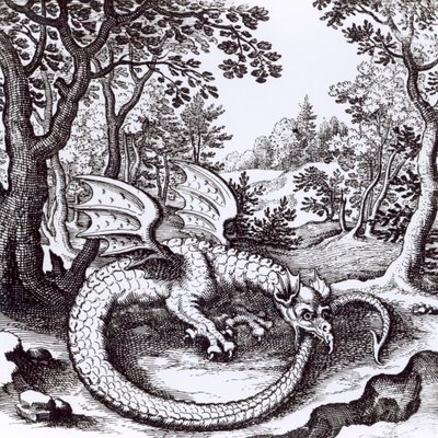 Ein Drache im Wald, aus 