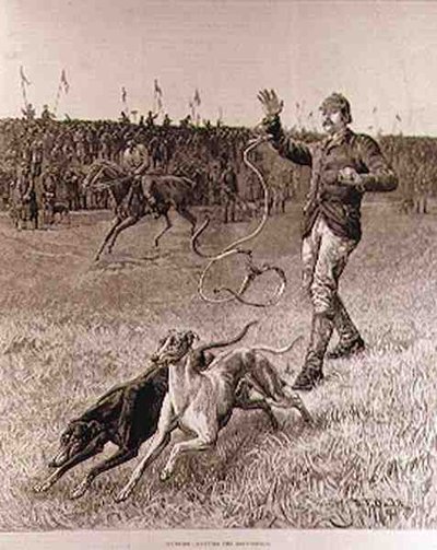 Hetzjagd: Die Windhunde loslassen, aus 
