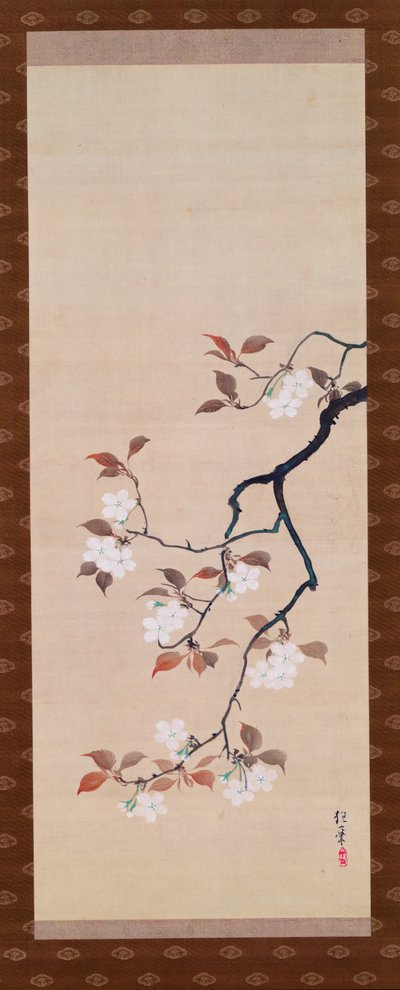 Hängerolle, die Kirschblüten darstellt, aus einem Triptychon der drei Jahreszeiten, Japanisch, frühes 19. Jahrhundert von Sakai Hoitsu