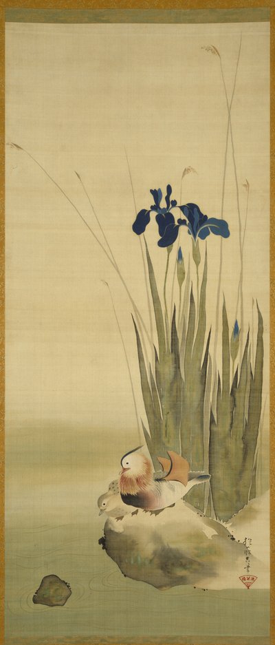 Iris und Mandarinenten von Sakai Hoitsu