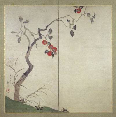 Kaki am Baum von Sakai Hoitsu