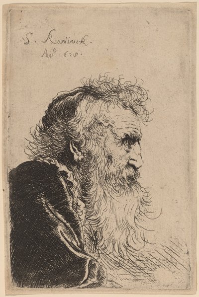 Büste eines alten Mannes im Profil, nach rechts blickend von Salomon Koninck