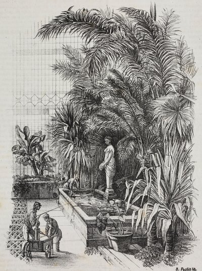 Laokoon und seine Söhne, römische Statue, Lithographie von Salvatore Puglia aus Poliorama Pittoresco, Nr. 1, 13. August von Salvatore Puglia