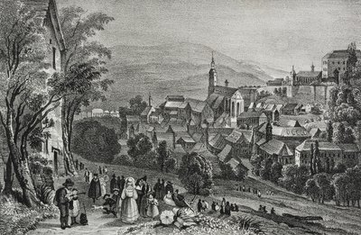 Ansicht von Baden, Schweiz, Lithographie von Salvatore Puglia aus Poliorama Pittoresco, Nr. 29, 26. Februar von Salvatore Puglia