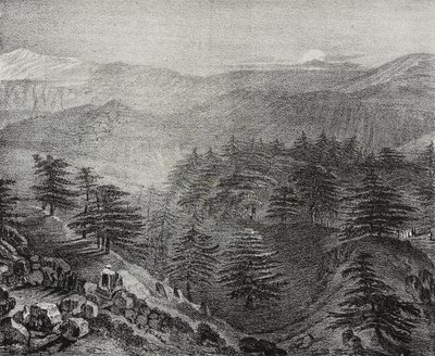 Ansicht des Libanongebirges mit seinen berühmten Zedern, Libanon, Lithographie von Salvatore Puglia aus Poliorama Pittoresco, Nr. 10, 15. Oktober von Salvatore Puglia