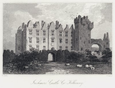 Inchmore Castle, Co Kilkenny (Gravur) von Samuel (after) Austin