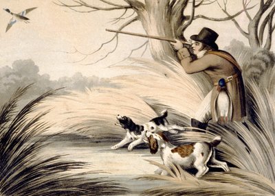 Entenjagd, graviert von H. Merke, ca. 1809 von Samuel (after) Howitt