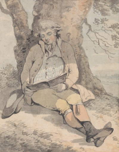 P. Wilkinson Esq. sitzt im Schatten einer Eiche und lernt zu pfeifen von Samuel Alken