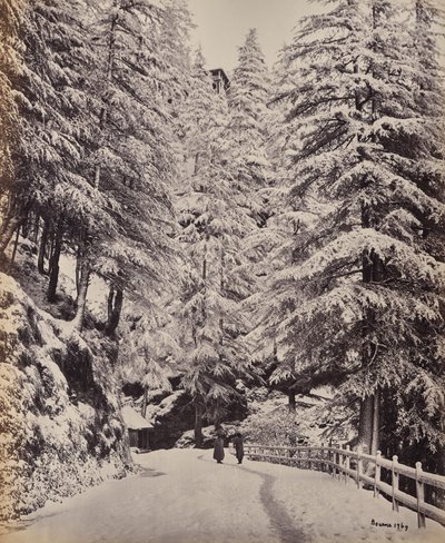 Shimla. Blick auf die Mall im Winter von Samuel Bourne