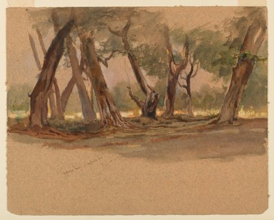 Zypressen, Chapultepec, Mexiko von Samuel Colman