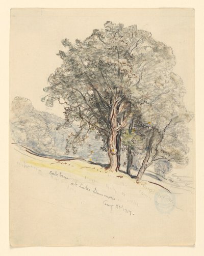 Studie von Eichen am Lake Dunmore, Vermont von Samuel Colman