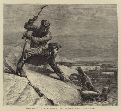 Robben und Robbenfelle, Jäger töten die Robben in den arktischen Regionen von Samuel Edmund Waller