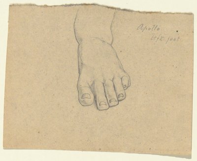 Studie für Das Urteil des Jupiter (Apollo, linker Fuß) von Samuel Finley Breese Morse