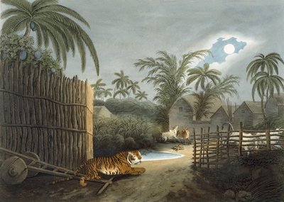 Ein Tiger schleicht durch ein Dorf (Rinder in Panik), aus 