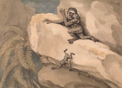 Ein Affe und Junges von Samuel Howitt