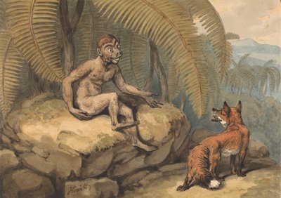Ein Affe und ein Fuchs von Samuel Howitt