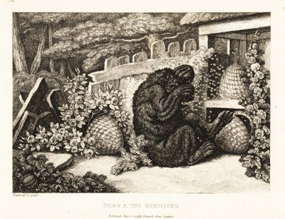 Ein Braunbär wird von einem Heer von Bienen angegriffen. 1811 von Samuel Howitt