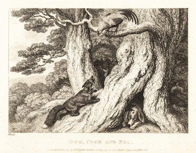 Ein Hahn auf einem Baum überlistet einen Fuchs, während ein Hund schläft. 1811 (Radierung) von Samuel Howitt