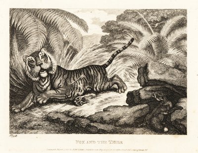 Ein Fuchs beobachtet einen verwundeten Tiger. 1811 (Radierung) von Samuel Howitt