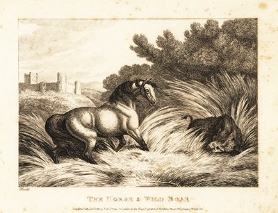 Ein Pferd und ein Wildschwein stehen sich auf einer Weide gegenüber. 1811 (Radierung) von Samuel Howitt