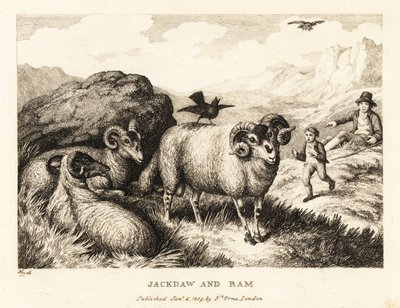 Eine Dohle singt auf dem Rücken eines Widders. 1811 (Radierung) von Samuel Howitt