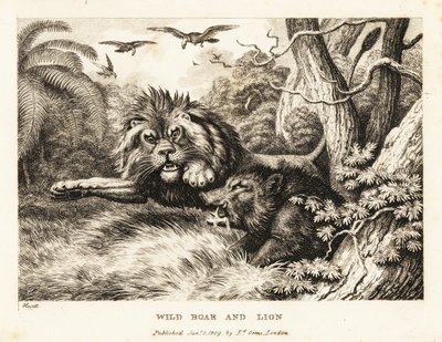 Ein Löwe und ein Wildschwein kämpfen, während Geier darüber kreisen. 1811 von Samuel Howitt