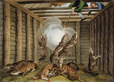 Amerikanische Anekdote: Die Wölfe schießen, graviert von Matthew Dubourg (fl.1785-1820) und dem Künstler, veröffentlicht von Edward Orme, 1813 von Samuel Howitt