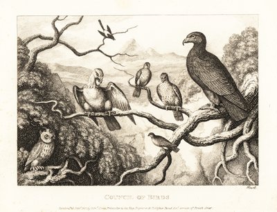 Ein Adler präsidiert über ein Gericht von Vögeln in einem Baum. 1811 (Radierung) von Samuel Howitt