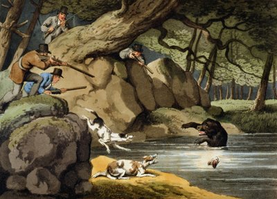 Bärenjagd in Nordamerika, graviert von Matthew Dubourg, veröffentlicht von Edward Orme, 1813 von Samuel Howitt