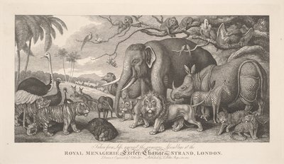 Aus dem Leben gegriffen, unter der zahlreichen Versammlung im Königlichen Menagerie, Exeter Exchange, Strand, London von Samuel Howitt