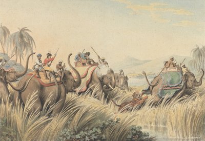 Der in die Enge getriebene Tiger: eine Illustration zu Kapitän Thomas Williamsons „Oriental Field Sports“ von Samuel Howitt