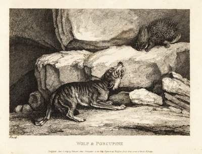 Der Wolf und das Stachelschwein von Roger L