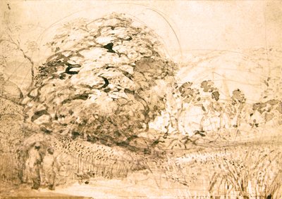 Ein Pfad durch ein Kornfeld, um 1832-33 von Samuel Palmer