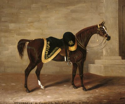 Kopenhagen, das Pferd des Herzogs von Wellington bei Waterloo von Samuel Spode
